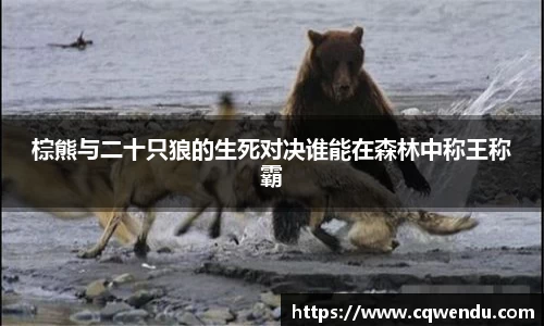 棕熊与二十只狼的生死对决谁能在森林中称王称霸